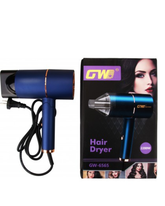 Secador Profesional Azul